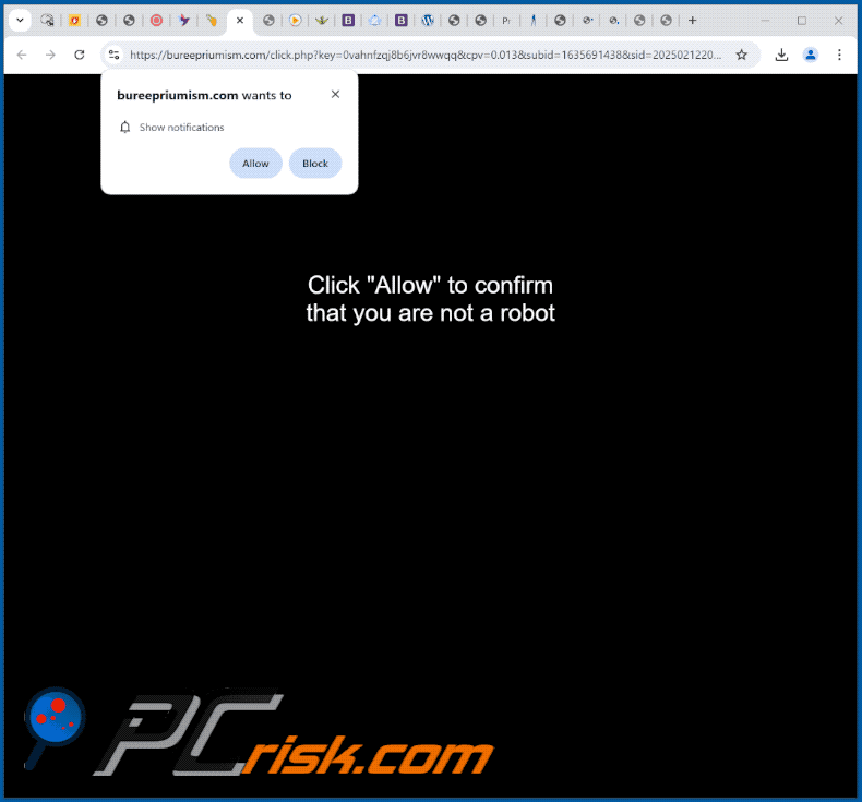 bureepriumism[.]com website appearance (GIF)