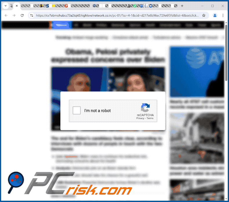 highlevelnetwork.co[.]in website appearance (GIF)