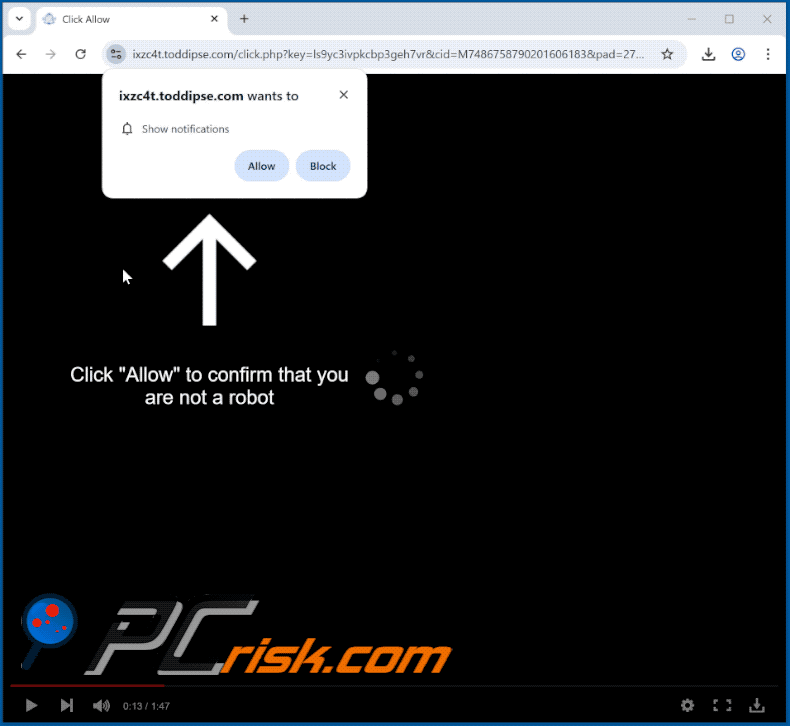 toddipse[.]com website appearance (GIF)