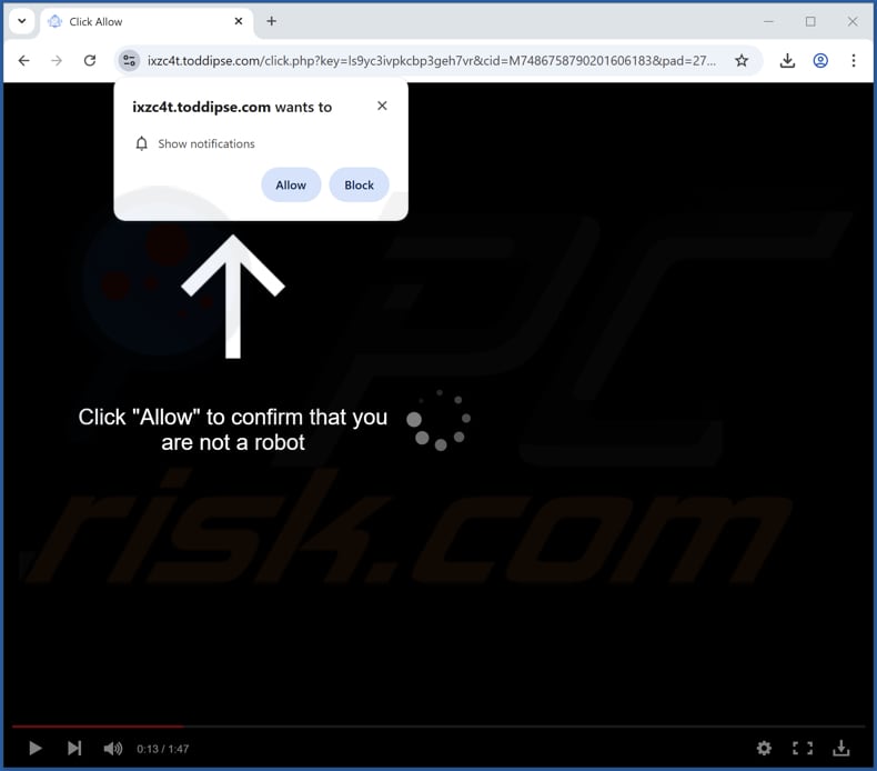 toddipse[.]com ads