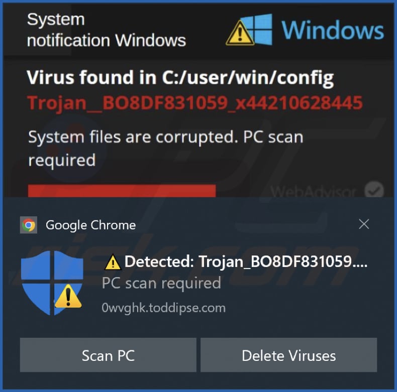toddipse[.]com notification