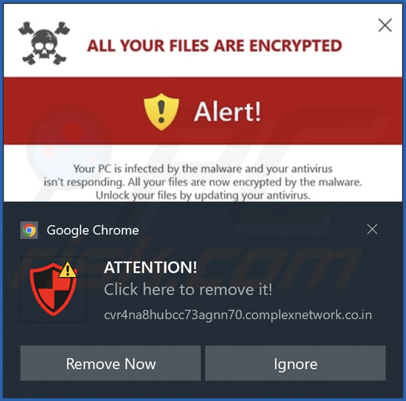 Ad delivered by the complexnetwork.co[.]in webpage