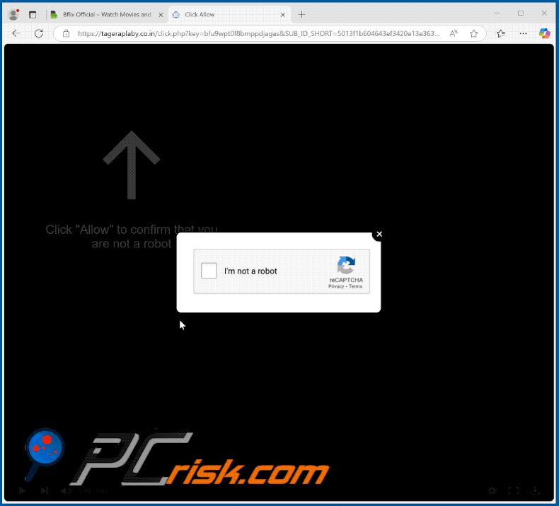tageraplaby.co[.]in website appearance (GIF)