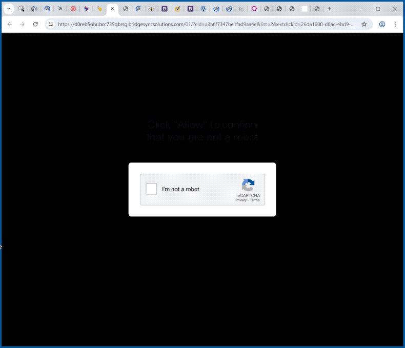bridgesyncsolutions[.]com website appearance (GIF)