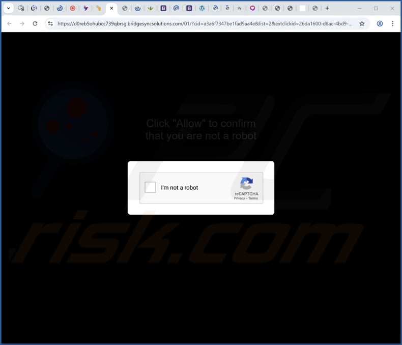 bridgesyncsolutions[.]com ads