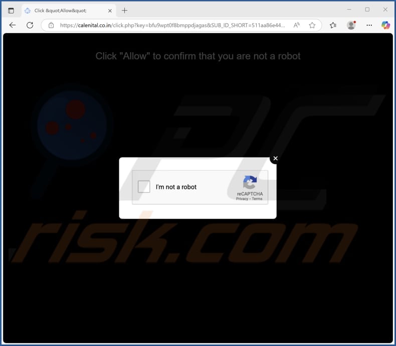 calenital.co[.]in ads