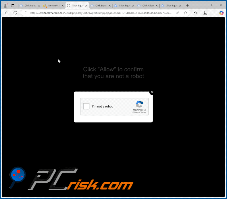 calmarean.co[.]in website appearance (GIF)
