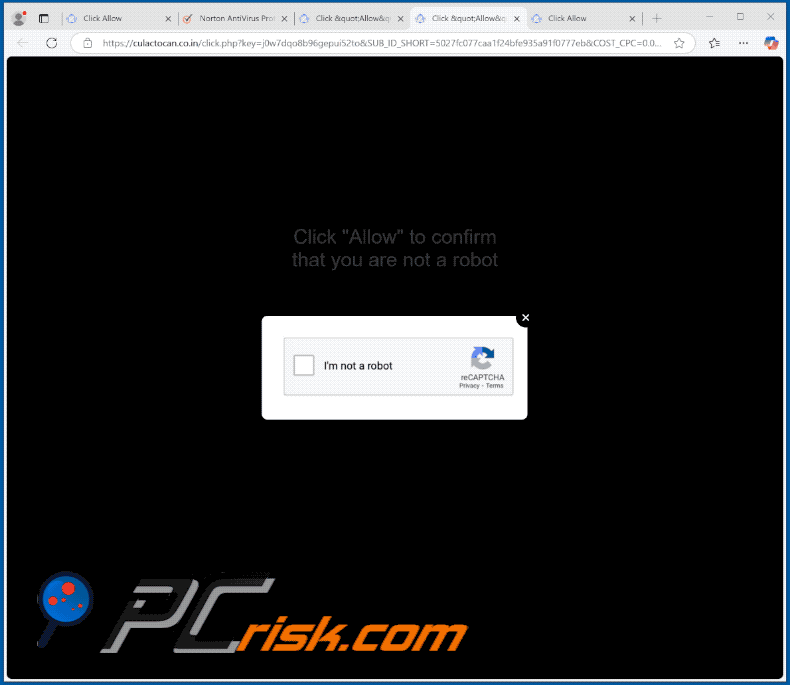 culactocan.co[.]in website appearance (GIF)