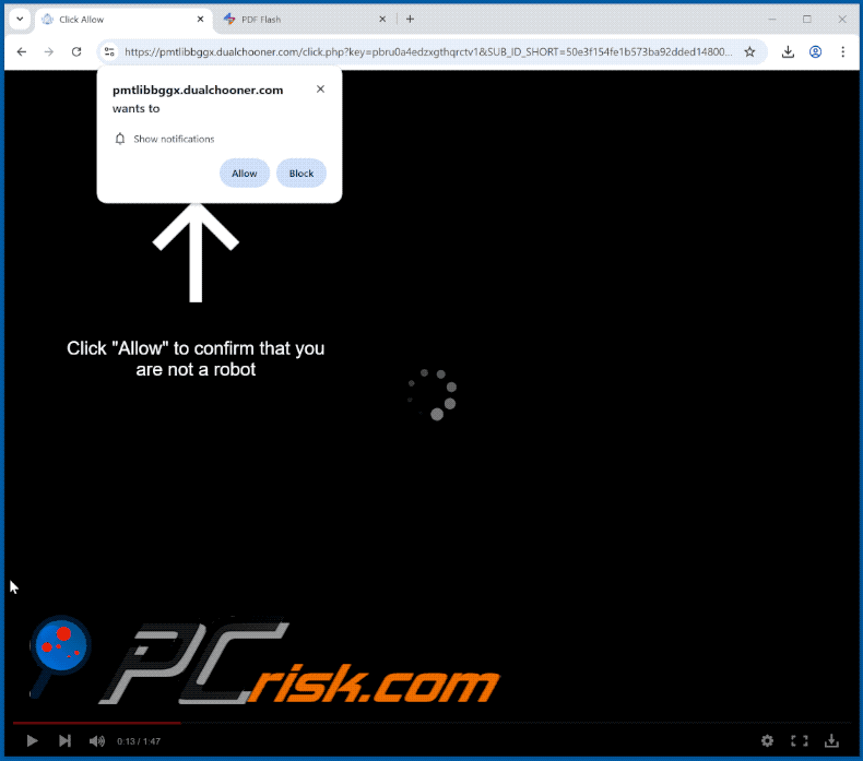 dualchooner[.]com website appearance (GIF)
