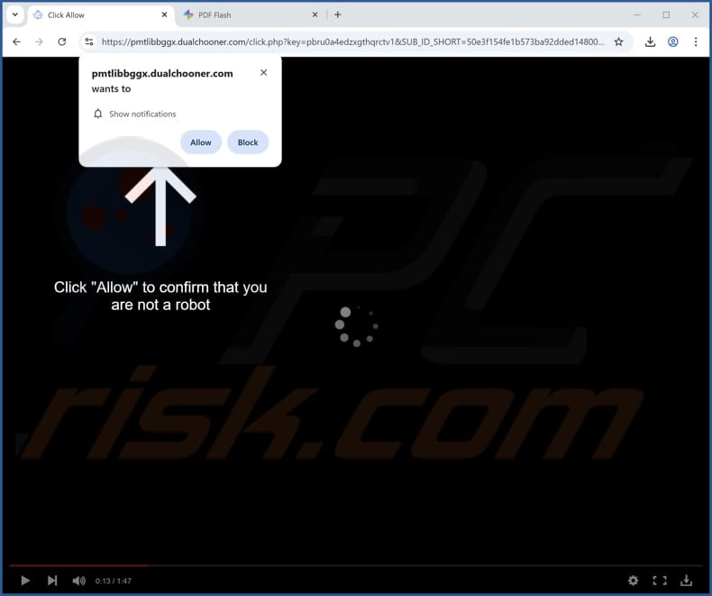 dualchooner[.]com ads