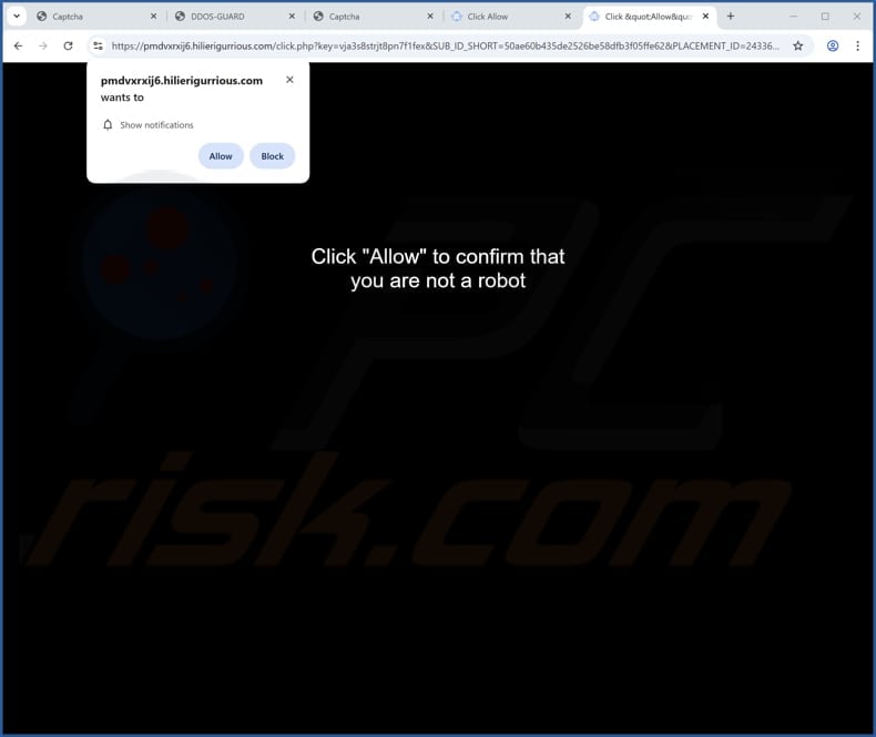 hilierigurrious[.]com ads
