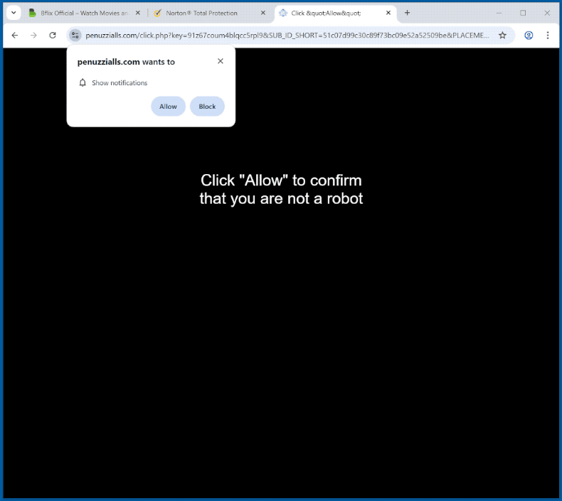 penuzzialls[.]com website appearance (GIF)
