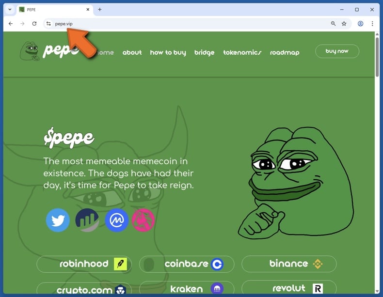 Appearance of the real Pepe coin website (pepe.vip)