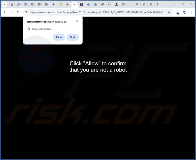 snescouremast[.]com ads