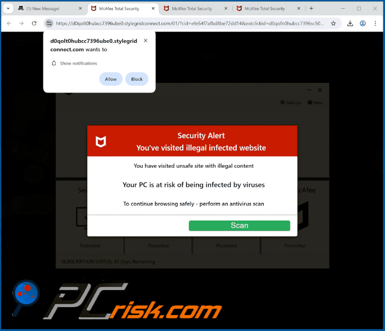 stylegridconnect[.]com website appearance (GIF)