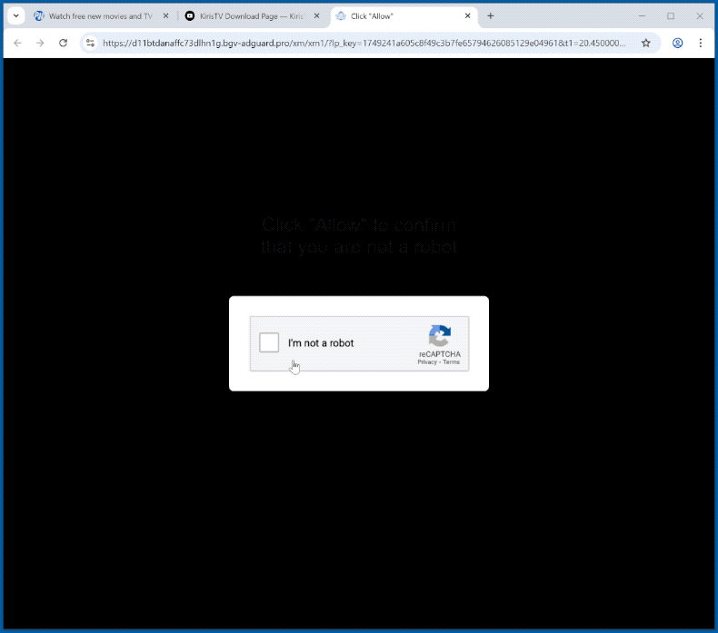 bgv-adguard[.]pro website appearance (GIF)
