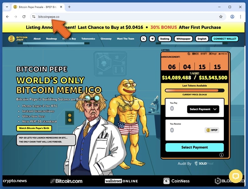 Appearance of the real Bitcoin Pepe website (bitcoinpepe.co)