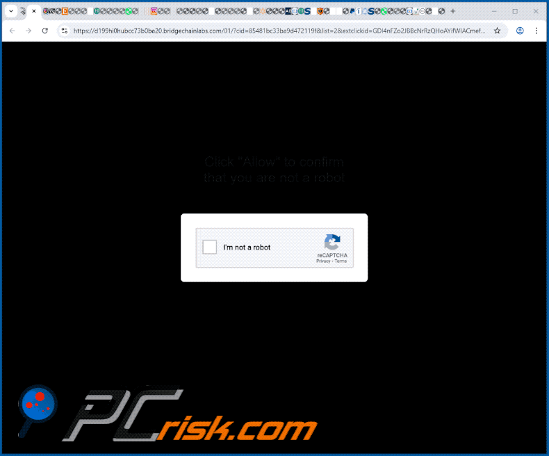 bridgechainlabs[.]com website appearance (GIF)