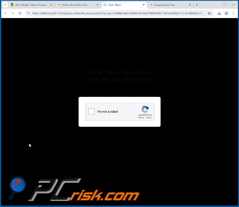 bsm-defender[.]pro website appearance (GIF)