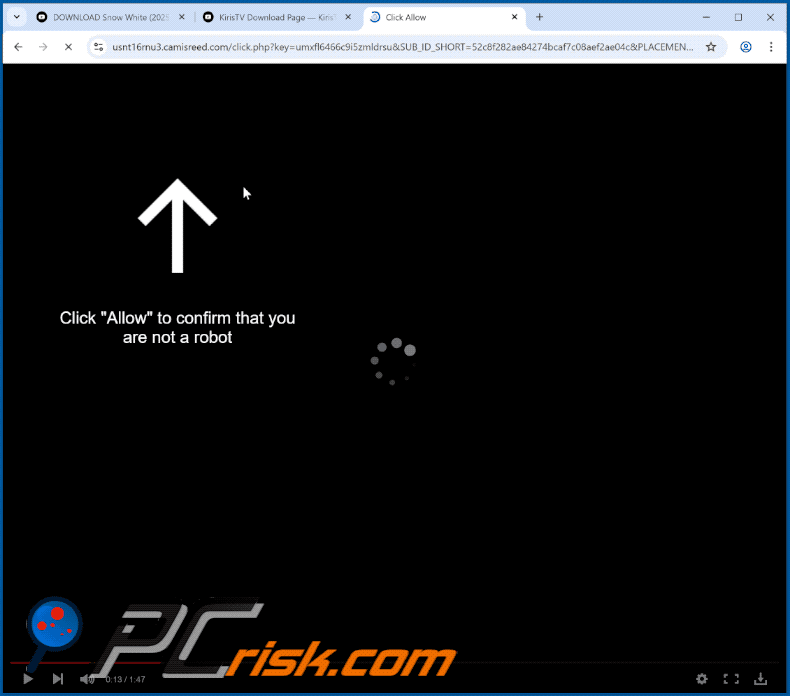 camisreed[.]com website appearance (GIF)