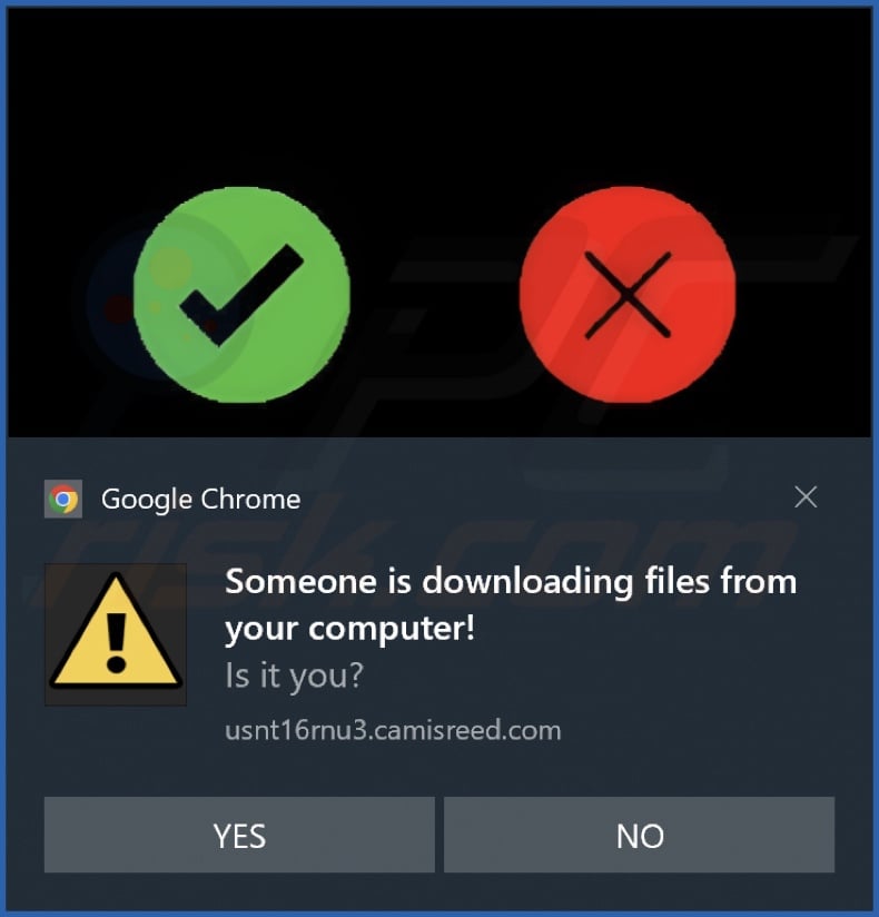 Ad delivered by the camisreed[.]com webpage