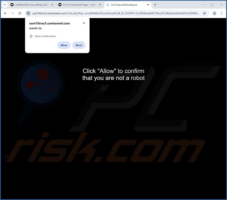 camisreed[.]com pop-up redirects