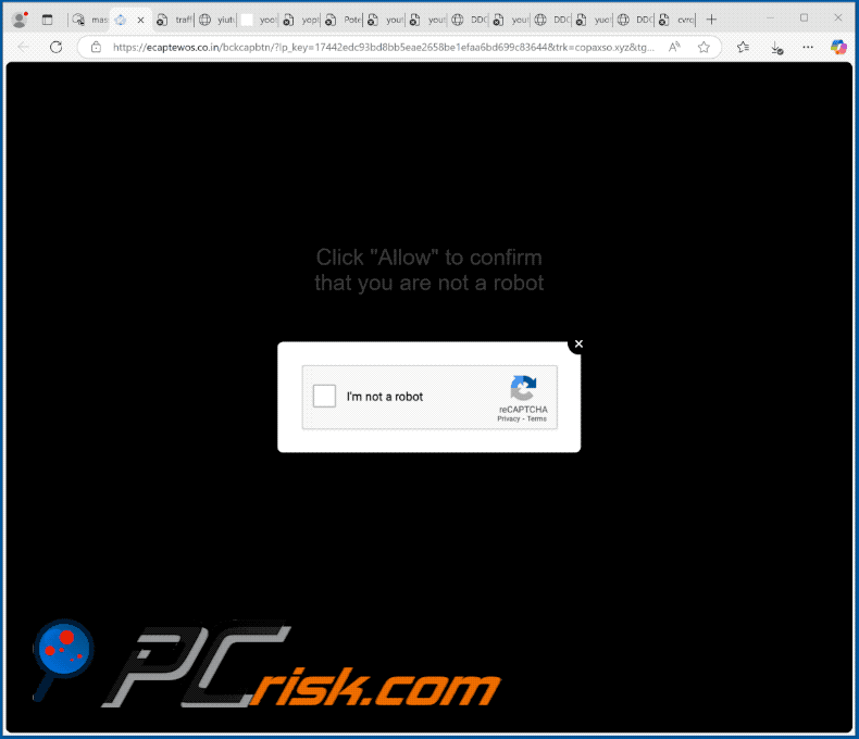 ecaptewos.co[.]in website appearance (GIF)