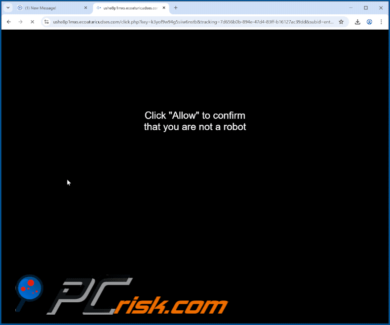 ecoaturicudses[.]com website appearance (GIF)