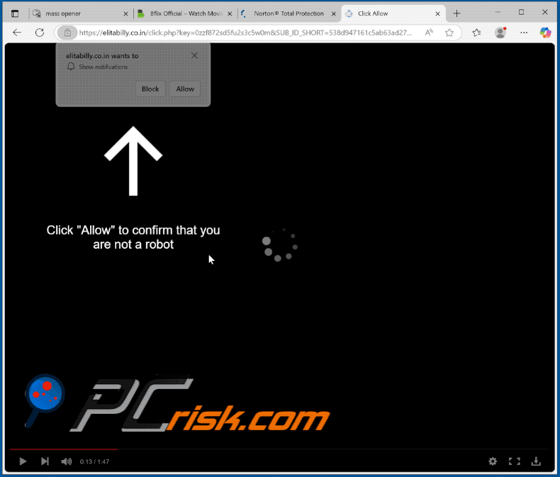 elitabilly.co[.]in website appearance (GIF)