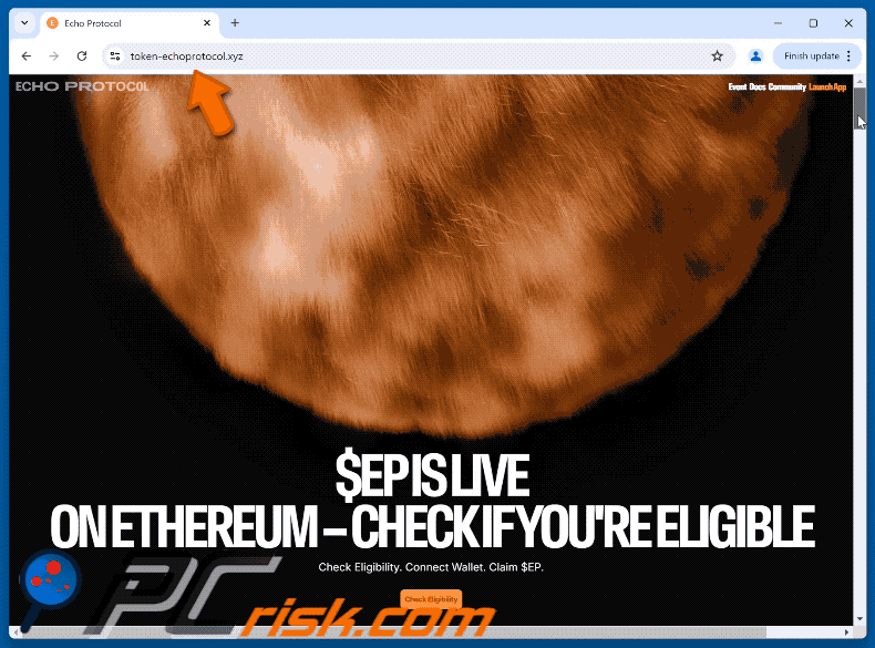 Appearance of Fake Echo Protocol scam