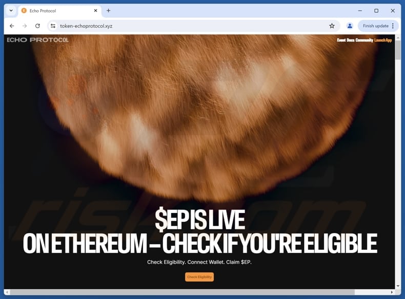 Fake Echo Protocol scam