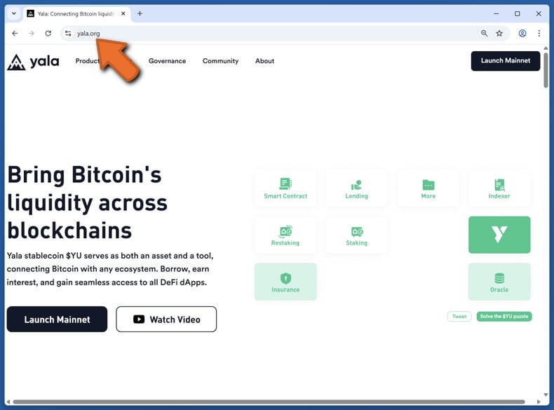 Appearance of the real Yala website (yala.org)