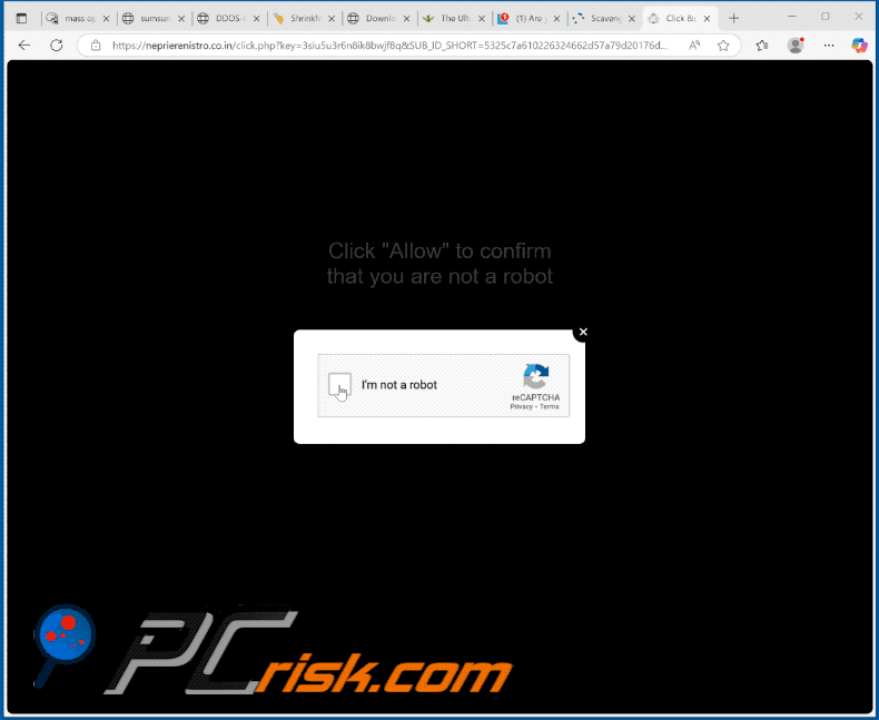neprierenistro.co[.]in website appearance (GIF)