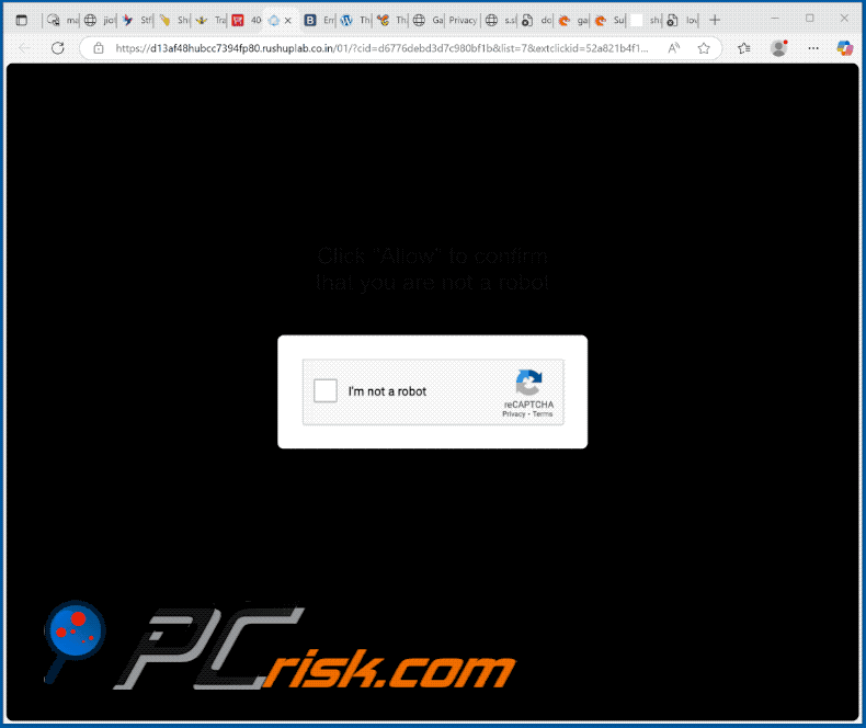 rushuplab.co[.]in website appearance (GIF)