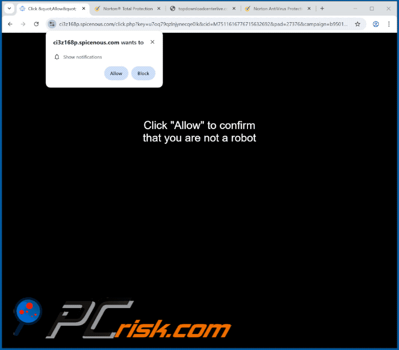 spicenous[.]com website appearance (GIF)