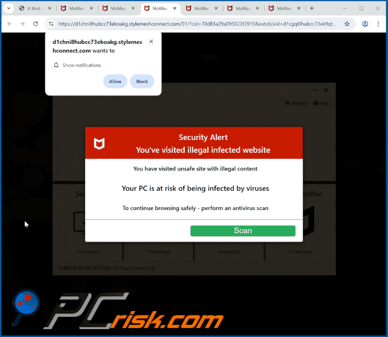stylemeshconnect[.]com website appearance (GIF)