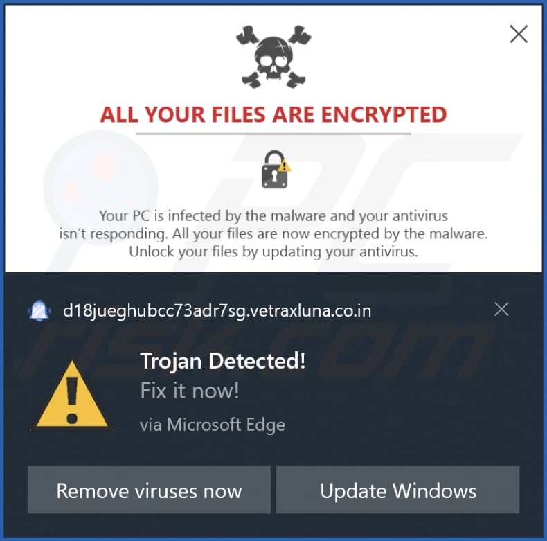 Ad delivered by the vetraxluna.co[.]in webpage