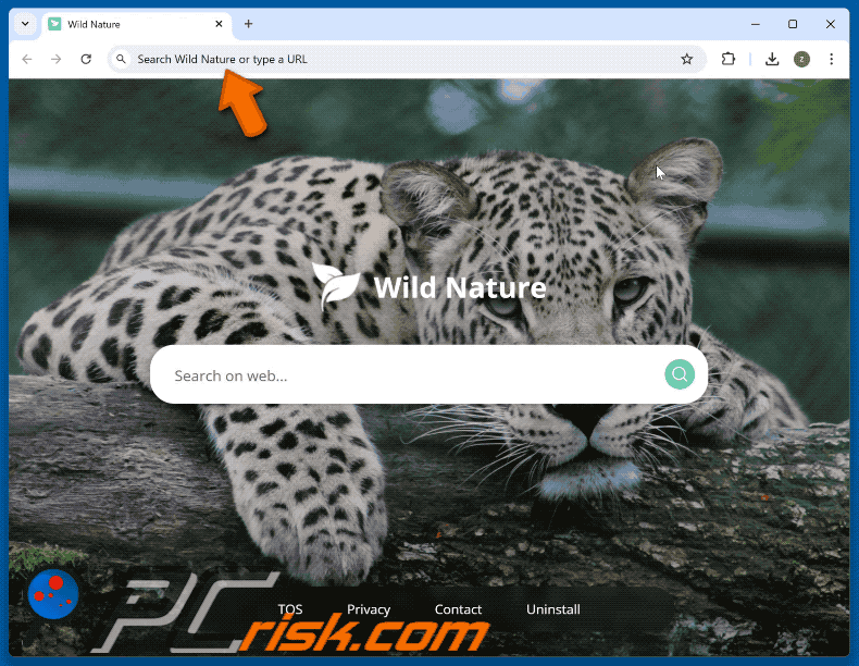 Wild Nature browser hijacker promotes searching.wildnaturetab.com