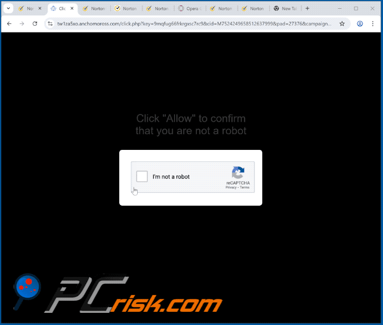 anchomoross[.]com website appearance (GIF)