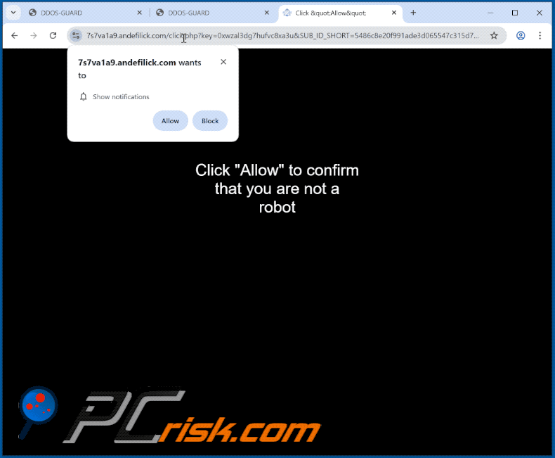 andefilick[.]com website appearance (GIF)