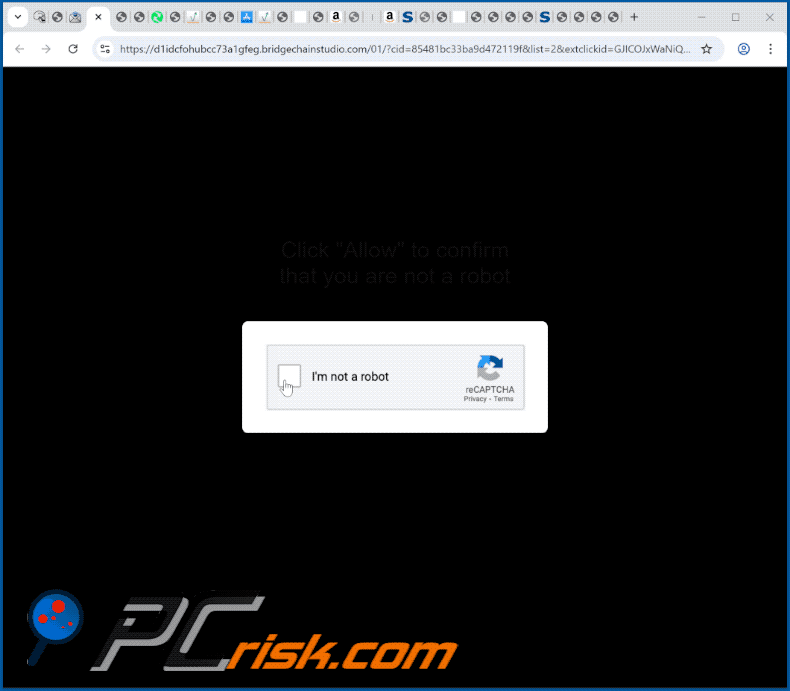 bridgechainstudio[.]com website appearance (GIF)