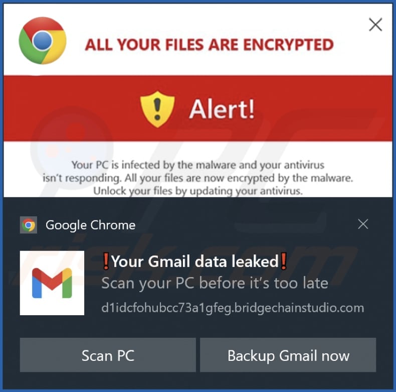 bridgechainstudio[.]com notification
