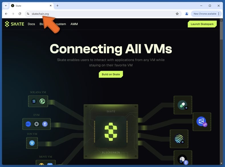 Appearance of the real Skate website (skatechain.org)