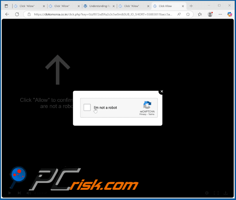 clotomonia.co[.]in website appearance (GIF)
