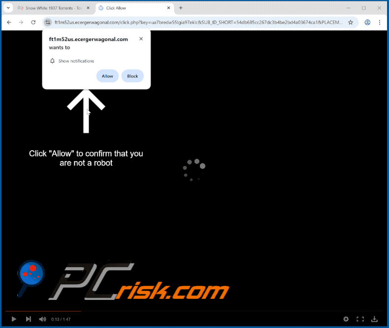 ecergerwagonal[.]com website appearance (GIF)