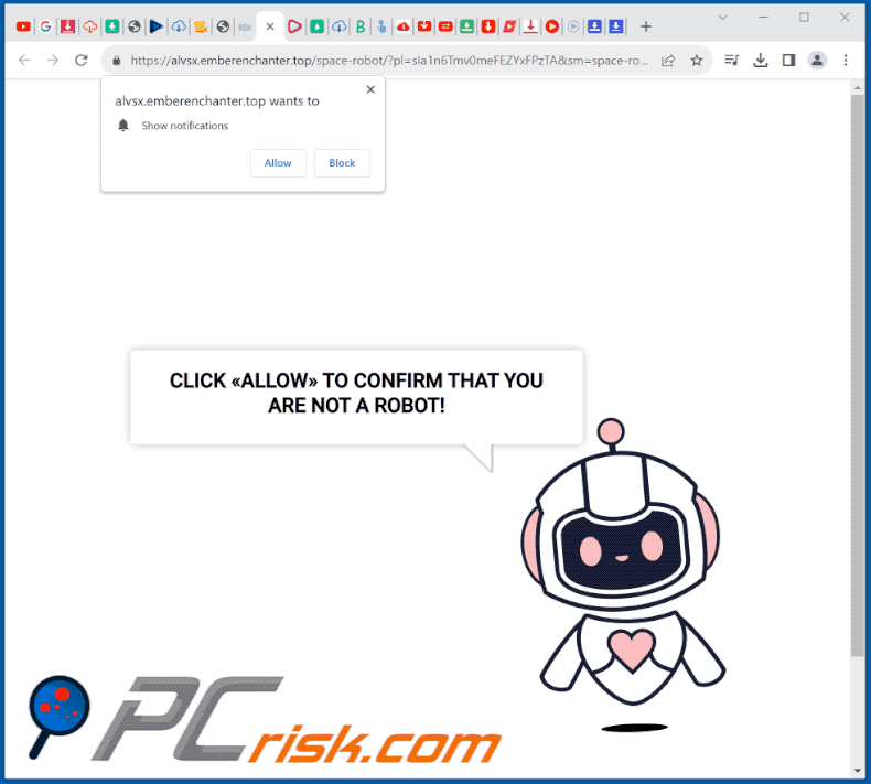 emberenchanter[.]top website appearance (GIF)