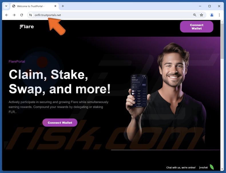 Fake Flare Portal website
