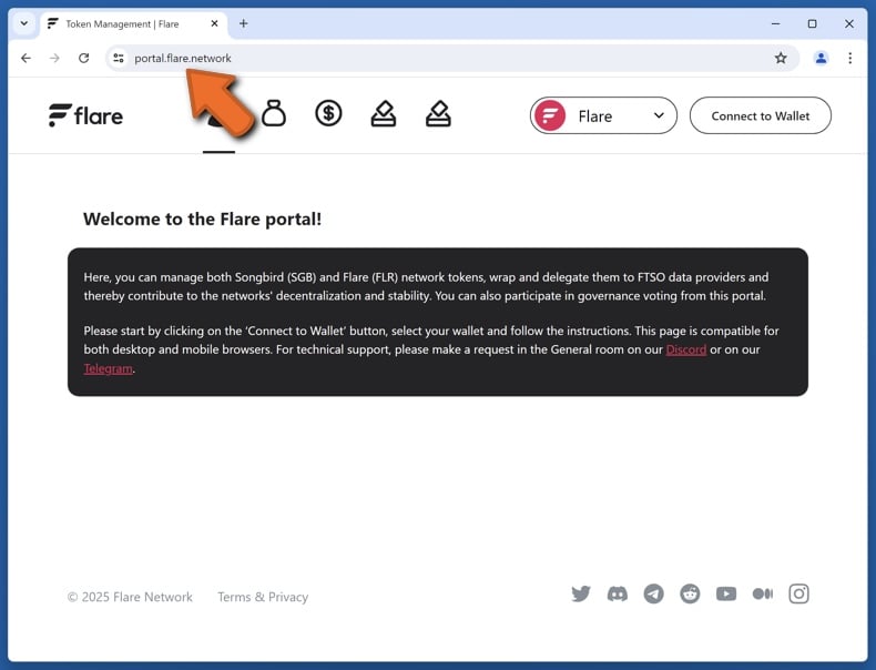 Appearance of the real Flare Portal website (portal.flare.network)