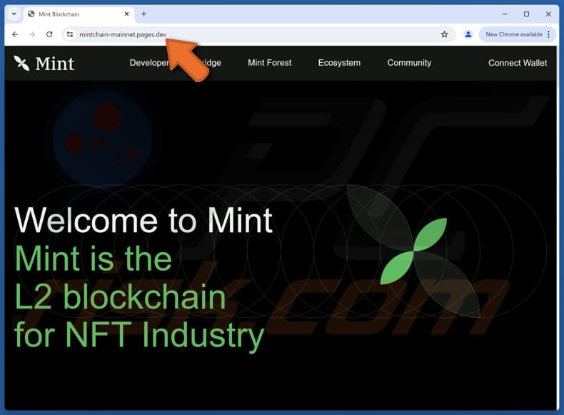 Fake Mint Blockchain scam