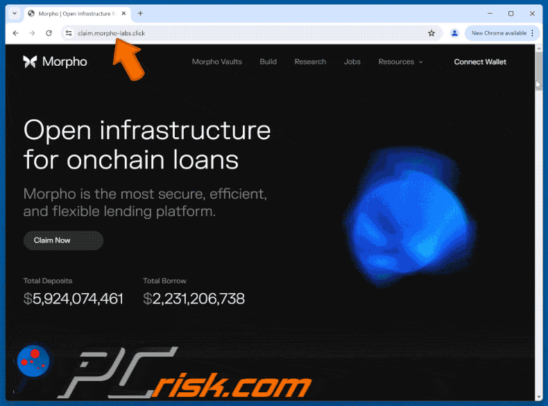 Appearance of Morpho website scam
